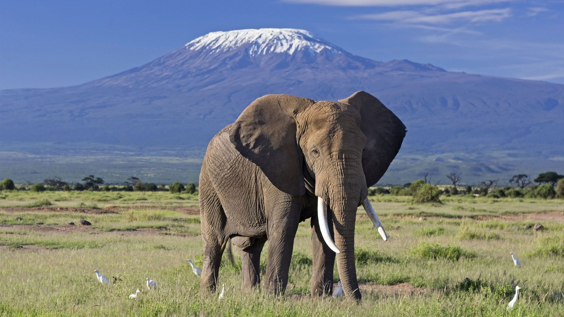 National Parks in Kenya