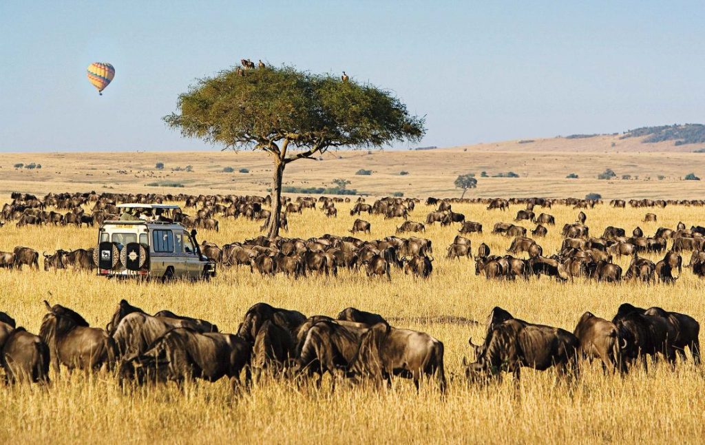 3 days Masai Mara Park