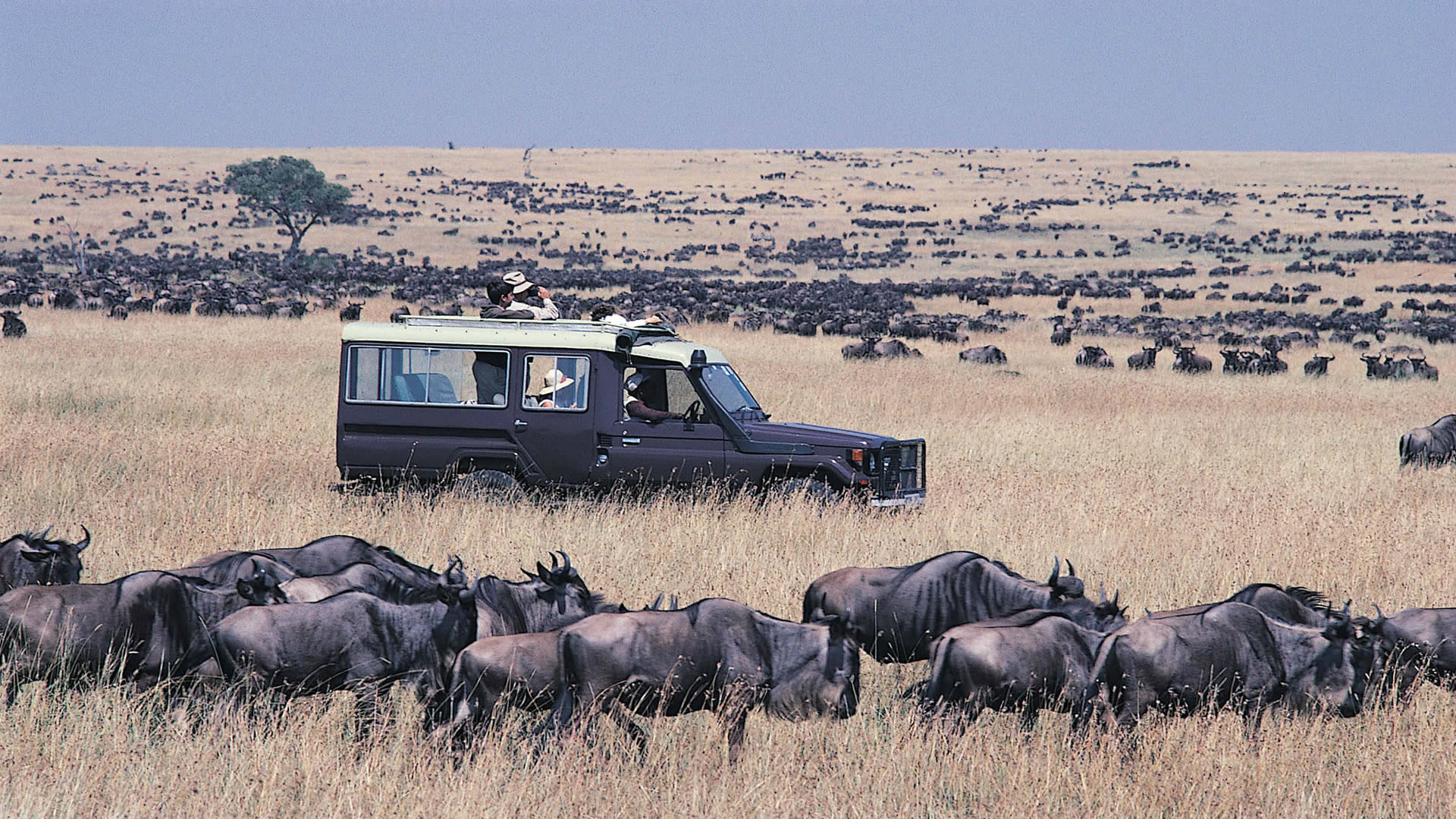Kenya National parks