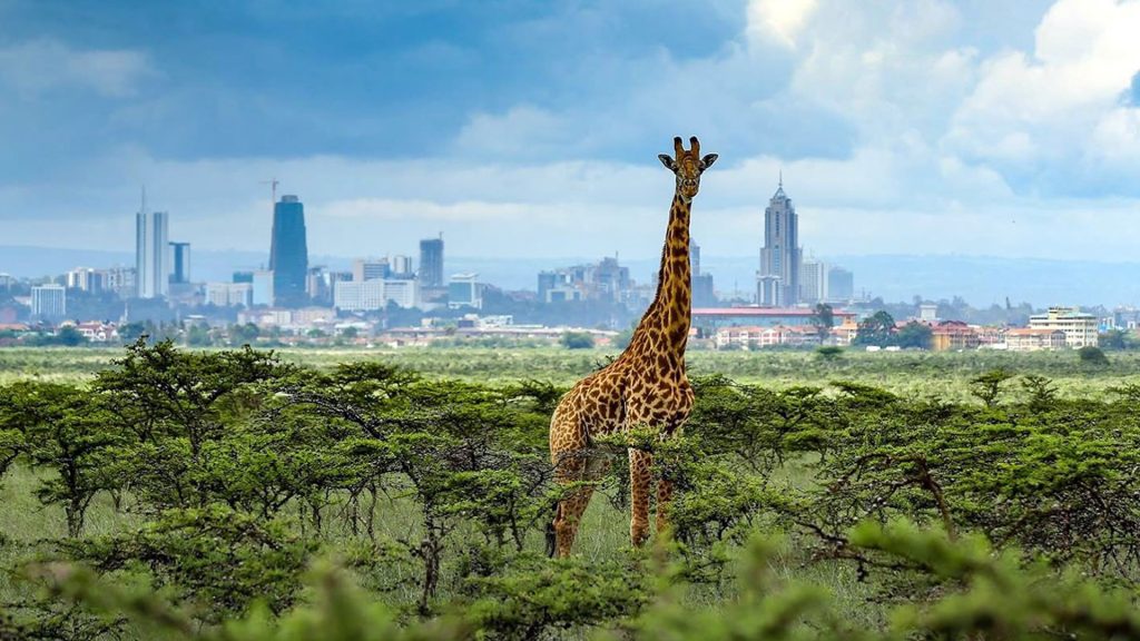 National Parks in Kenya