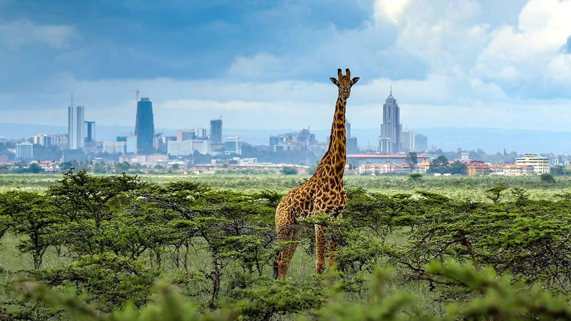 National Parks in Kenya