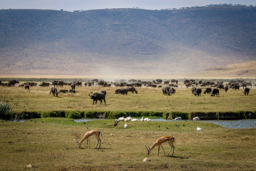 Sarania Adventure Safaris