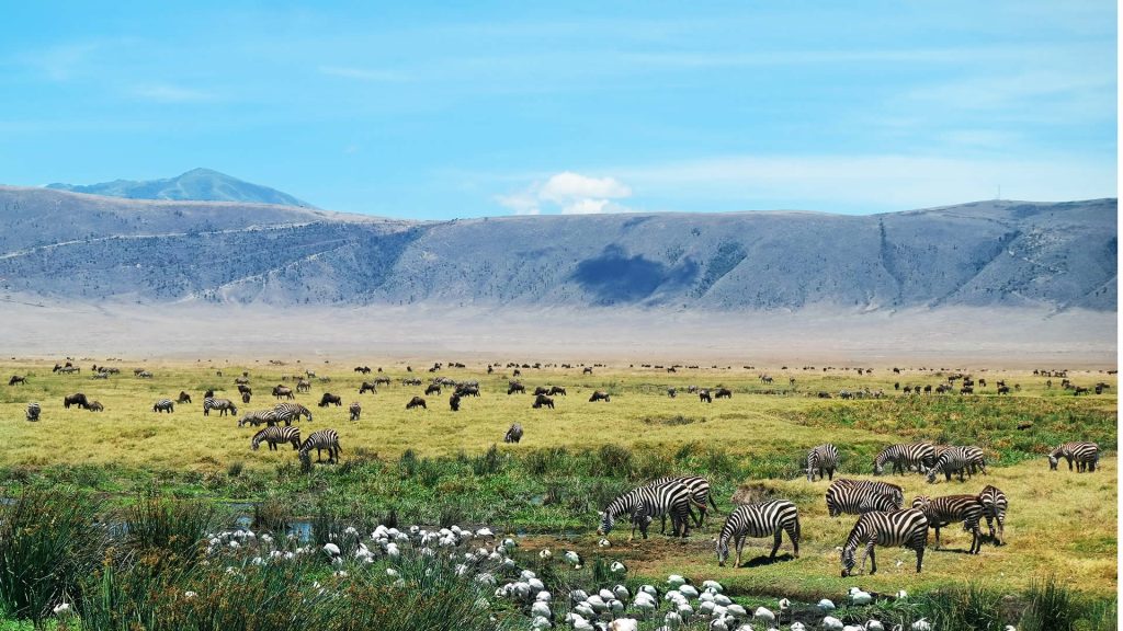 Sarania Adventure Safaris