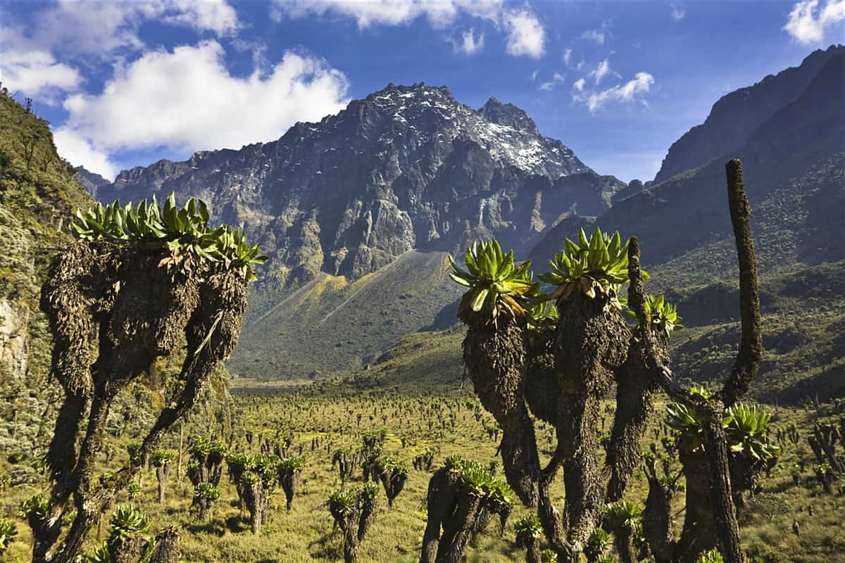 Uganda National parks