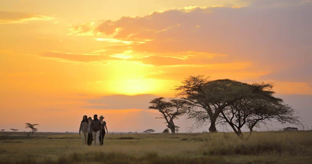 12 Days Tanzania safari