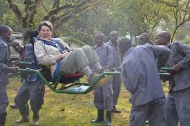 Gorilla trekking guide for the elderly - Sarania Adventure Safaris Gorilla guide for the elderly