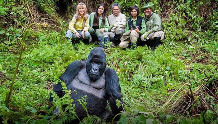 Dos and don'ts of gorilla trekking
