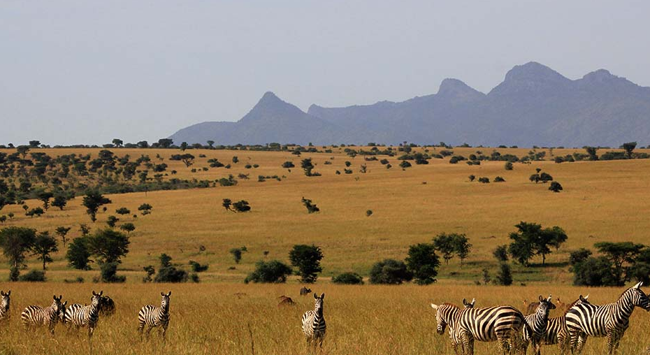 Lake Mburo National Park