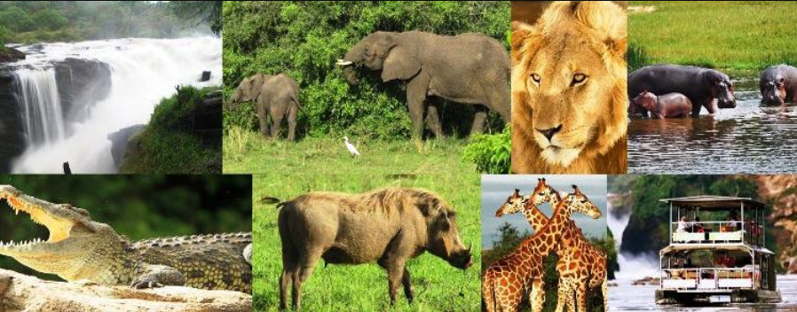 Uganda National Parks