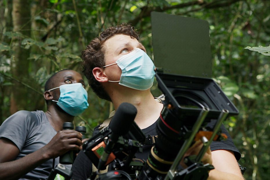 Chimpanzee Filming in Rwanda - Sarania Adventure Safaris Chimpanzee Filming in Rwanda